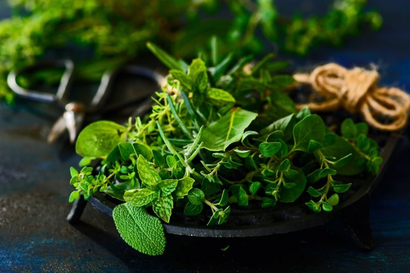 Herbs training course fee