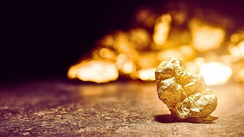 Introduction to Gold Mining training course fee