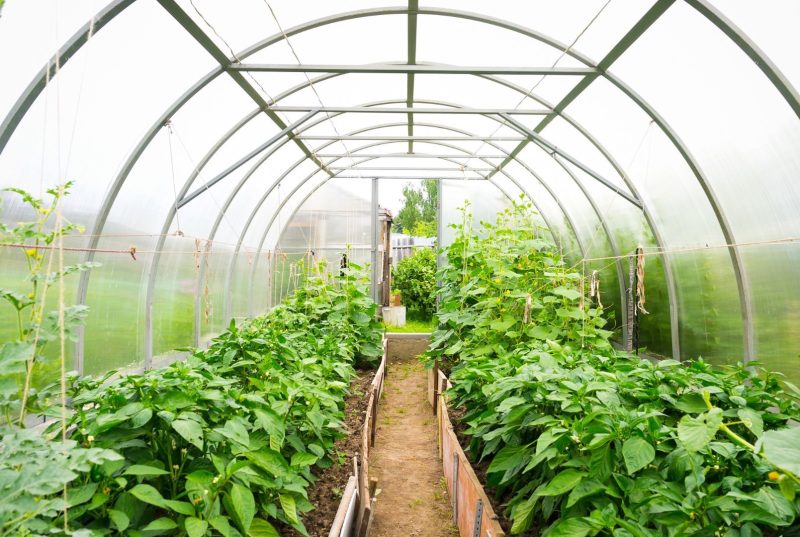 Horticulture Export Development training course fee