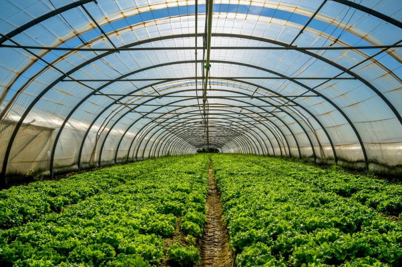 Horticulture training course fee