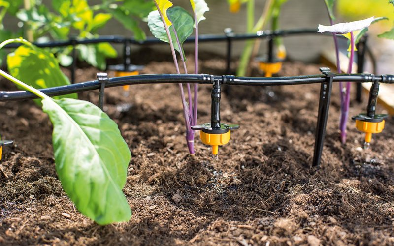 Irrigation Systems Training course fee