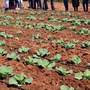 Irrigation Systems Design Training