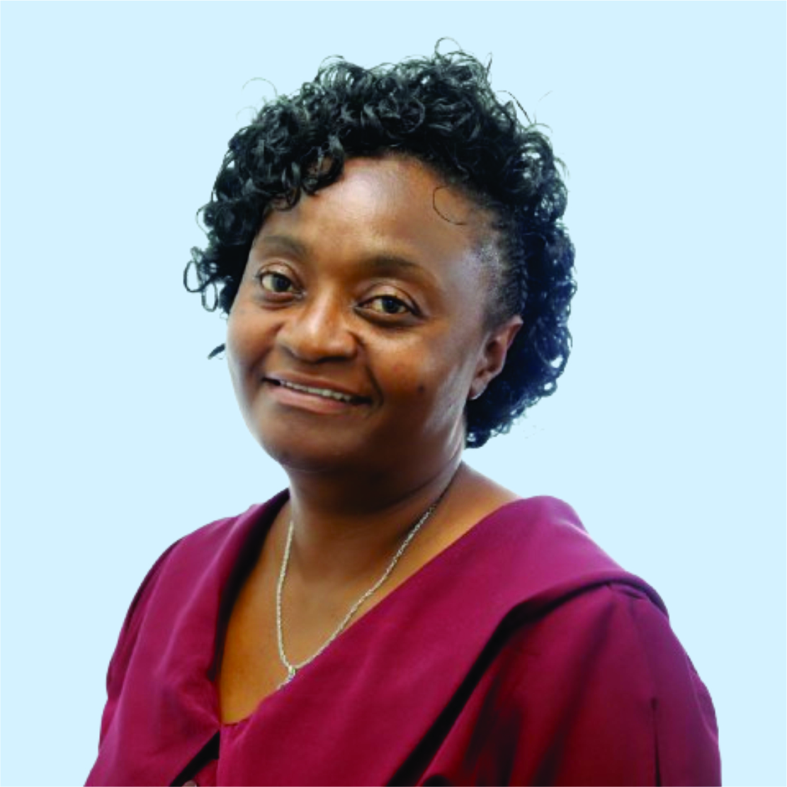 Dr.Eng. Mary H.N Chikuruwo