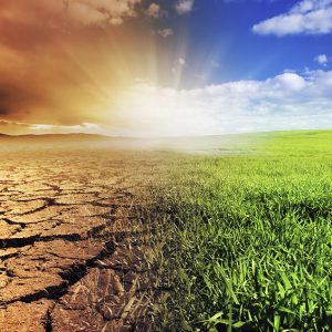 Corporate Environmental, Social and Governance Training