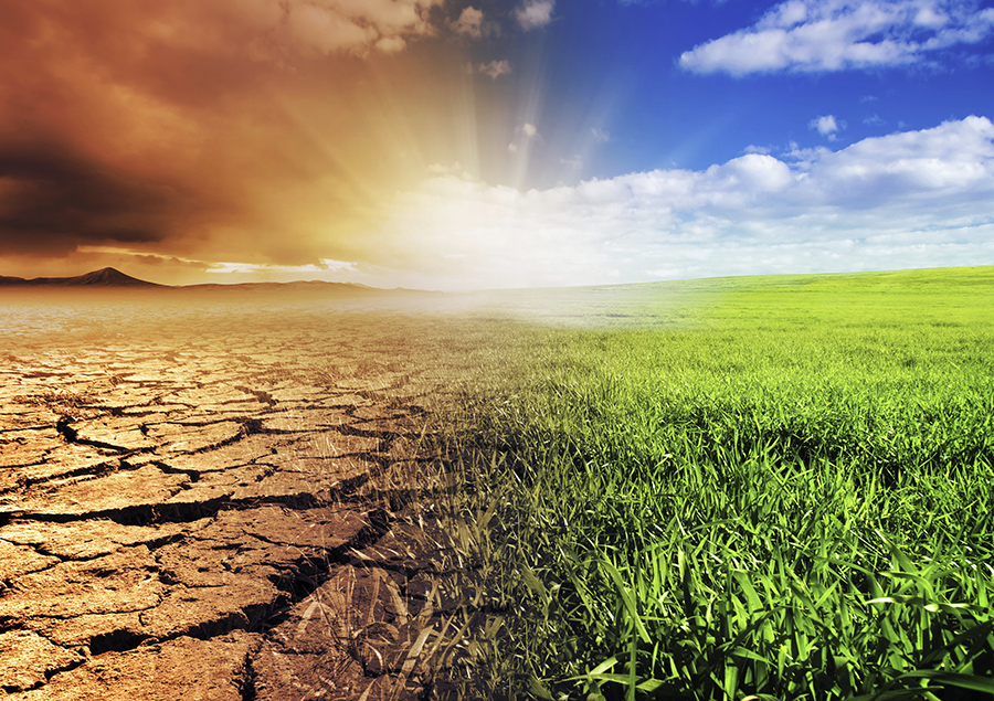 Corporate Environmental, Social and Governance Training
