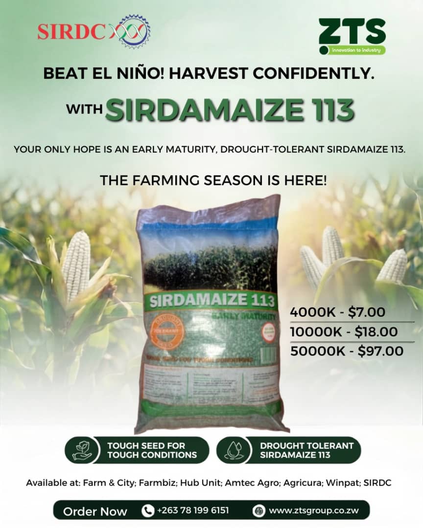 Beat El Niño & Harvest Confidently! 🌽