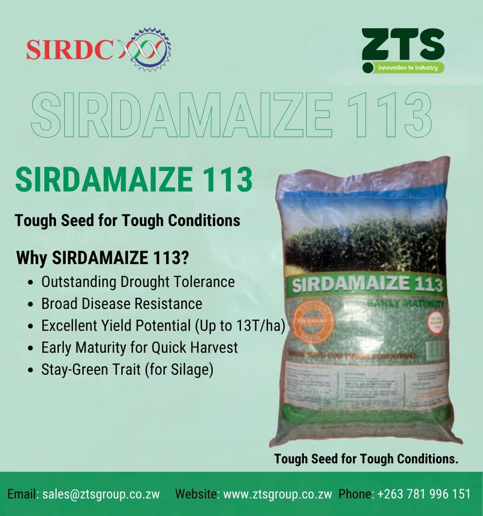 Why Sirdamaize 113?